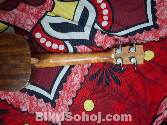 Custom Ukulele